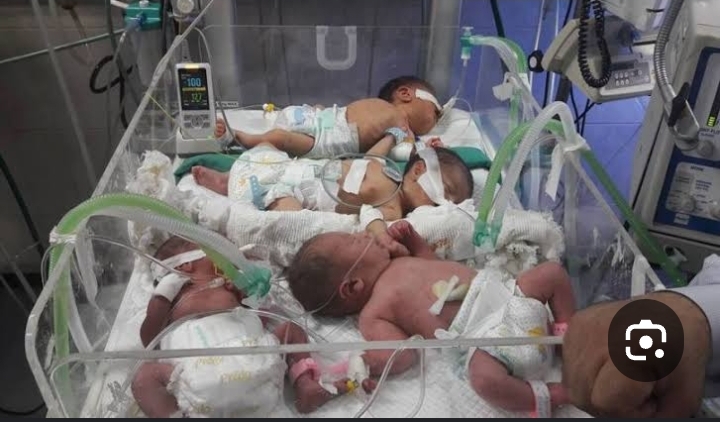 130 Bayi Newborn di Gaza Palestina Menanti Kematian Akibat Keterbatasan Listrik. (AdaraReliefInternastional/Foto)