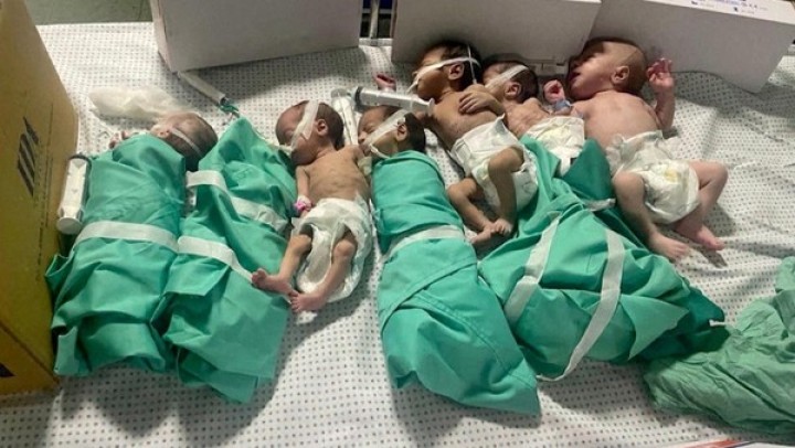 Sekitar 15.000 Bayi Palestina Diperkirakan Lahir dalam Kondisi Perang, 15 persen Alami Komplikasi. (detik.com/Foto)