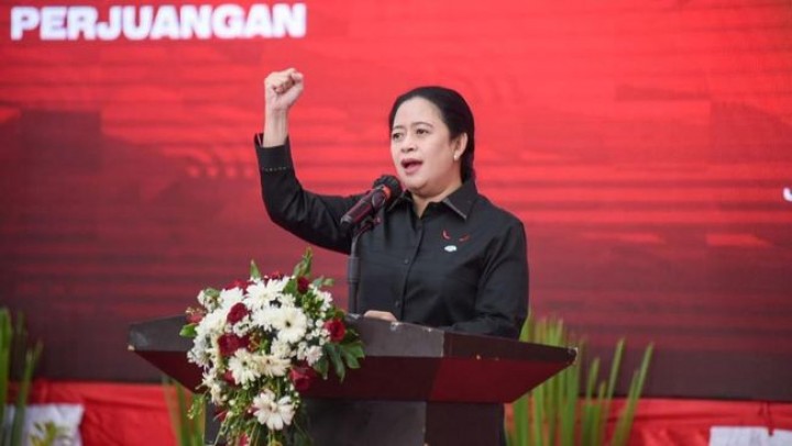 Ketua DPP PDI Perjuangan Puan Maharani. Sumber: cnnindonesia.com