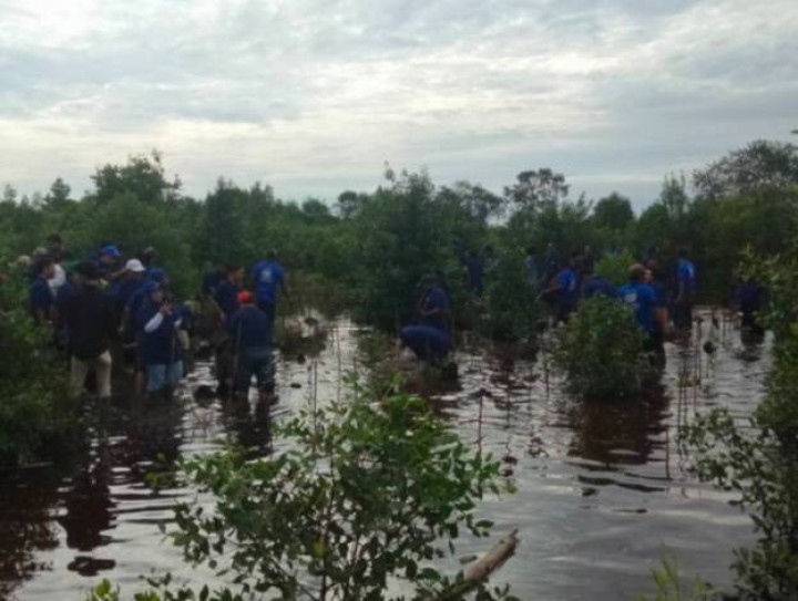 Bakti Sosial RGE Founder's Day di Penyengat Siak Tanam 5.000 Bibit Mangrove
