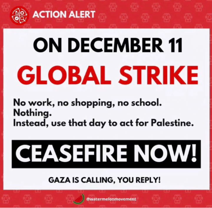 Seruan 'Strike Global' 11 Desember Trending di Twitter, Tuntut Segera Gencatan Senjata di Gaza Penolakan atas Sikap AS. (@watermelonmovement)