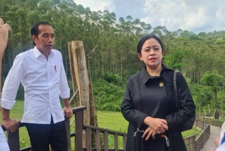 Puan Maharani dan Presiden RI Joko Widodo. Sumber: Pinter Politik