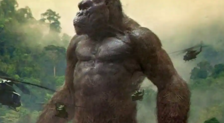 Gambar representatif - King Kong /X
