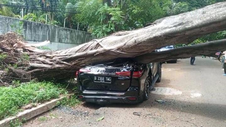 Pohon besar di kediaman Prabowo Subianto tiba -tiba tumbang (net)