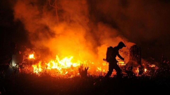 Kebakaran Hutan di Kolombia Hancurkan Lebih dari 17 Ribu Hektare Lahan, Sebab Hal Mengerikan Ini Terjadi. (X/Foto)
