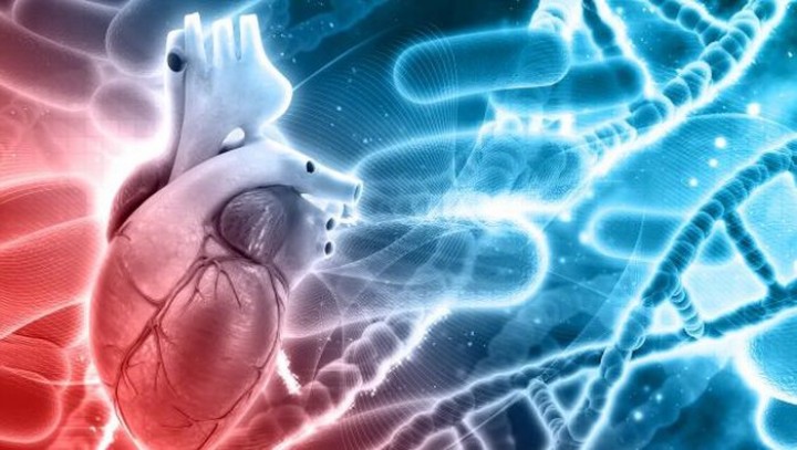 Studi Ungkap Pemilik Golongan Darah yang Lebih Berisiko Kena Serangan Jantung   