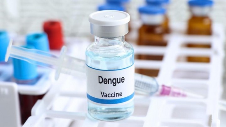 Mengenal TDV, Vaksin DBD yang Kini Sudah Tersedia di RI   