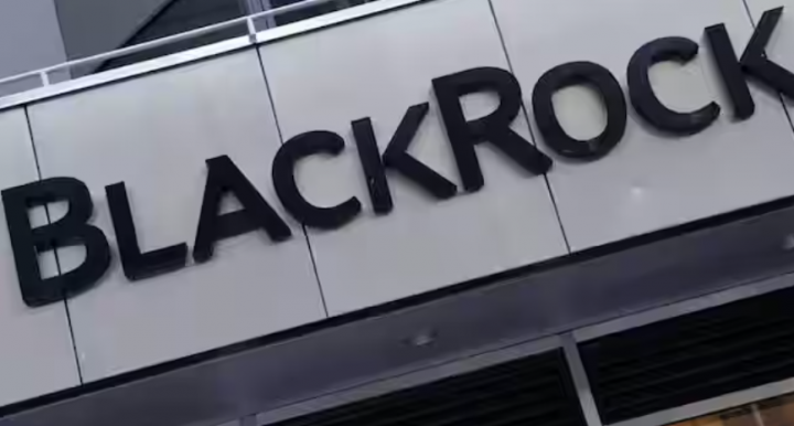 Logo BlackRock /X