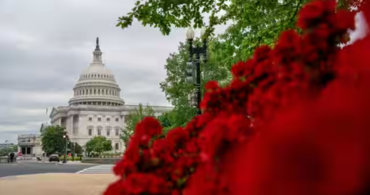 US Capitol /Reuters