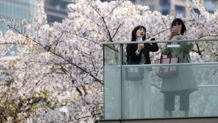 Tren Pernikahan Baru di Jepang, Berkeluarga Tanpa Cinta