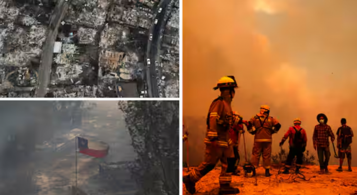 Kebakaran hutan Chili /Agensi