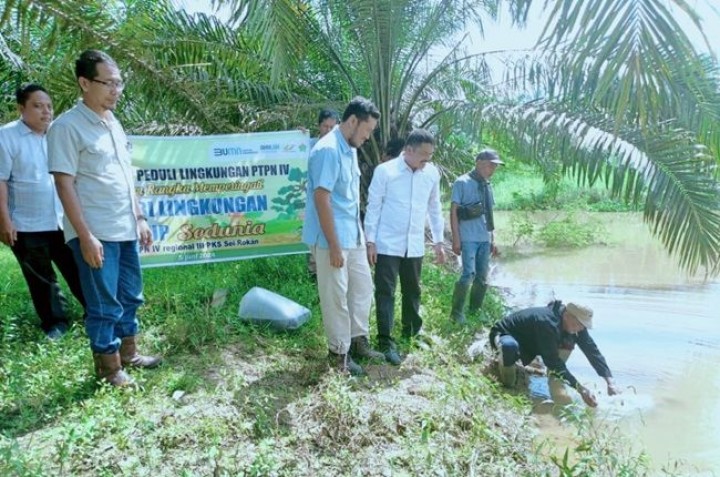 Hari Lingkungan Hidup Sedunia, PTPN IV PalmCo Salurkan Puluhan Ribu Bibit Pohon dan Ikan