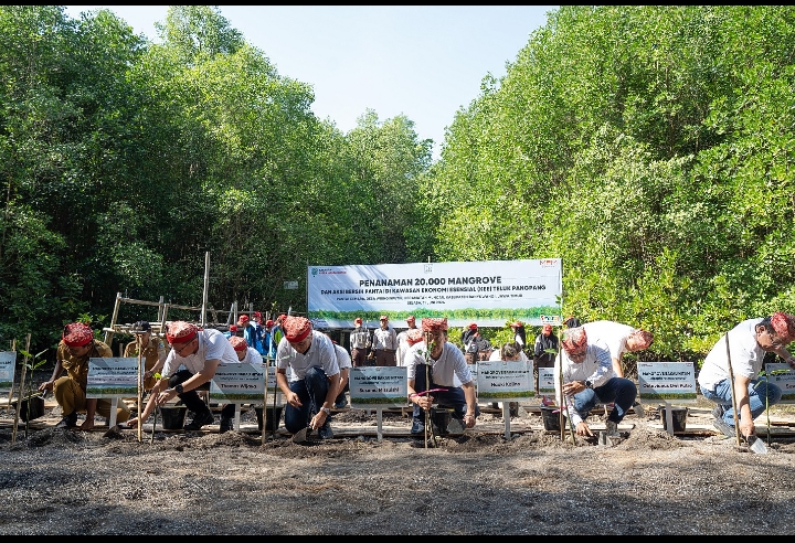 Peringati Hari Lingkungan Hidup Sedunia, Yayasan AHM Tanam Puluhan Ribu Mangrove