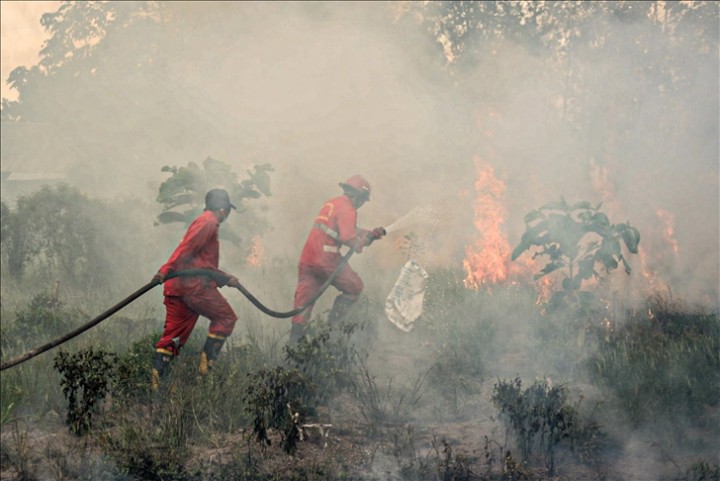 Ketua DPRD Siak Apresiasi Gerak Cepat BPBD Siak Padamkan Api Kebakaran Lahan Di Mengkapan