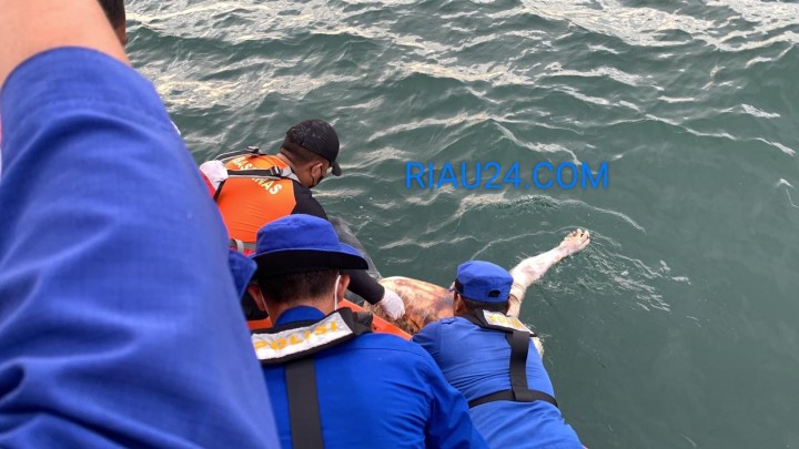 Lima Hari Pencarian, Akhirnya Korban Terjatuh Dari Kapal MV CAS Ditemukan Meninggal Dunia 