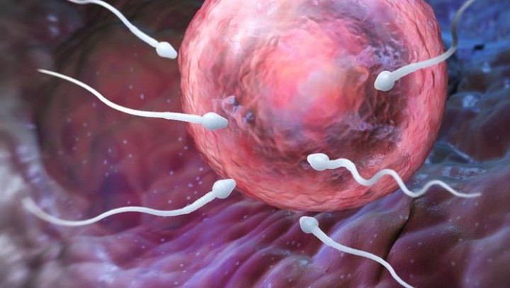 Wajib Tahu, Beginilah Sederet Kebiasaan yang Bisa Turunkan Kualitas Sperma, Termasuk Sering Ngopi
