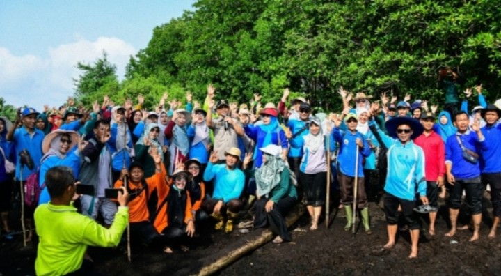 Hari Jadi Ke-512 Bengkalis, Luar Biasa 500 Guru Tanam Pohon Api-Api