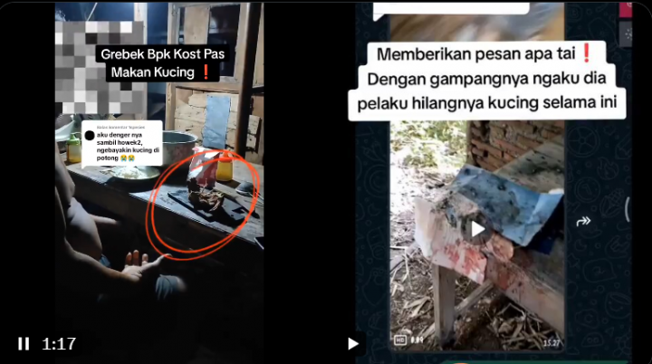 Viral! Bapak Kos Terciduk makan daging Kucing, Alsannya untukl Obat Diabetes. (Tangkapan layar @bacottetangga__ )