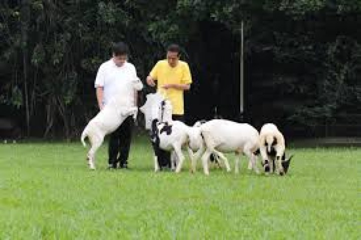 Airlangga Langsung ke IKN 'Dinner' Ketemu Jokowi usai Mundur dari Ketum Golkar. (Dok. Sekretariat Kabinet)