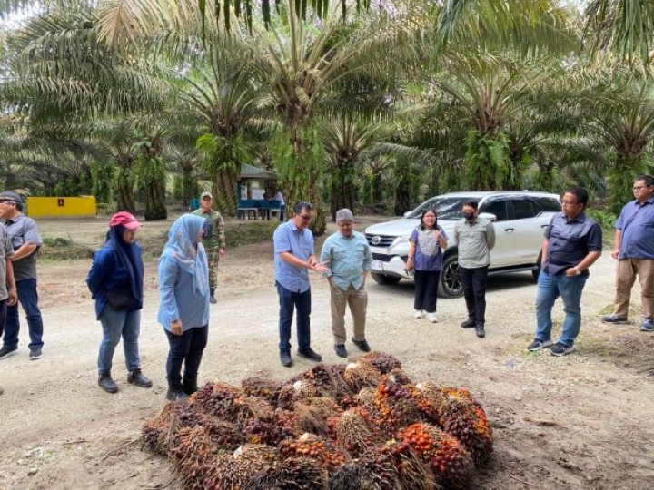 Kemenko Perekonomian Kagumi Pendekatan Sirkular Ekonomi PTPN IV Regional III