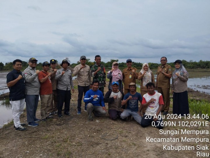 BSIP Riau Kunjungi Lahan Padi Gogo di Sungai Mempura, Kodim 0322/Siak dan Kelompok Tani Famili Maju Siap Tingkatkan Pertanian