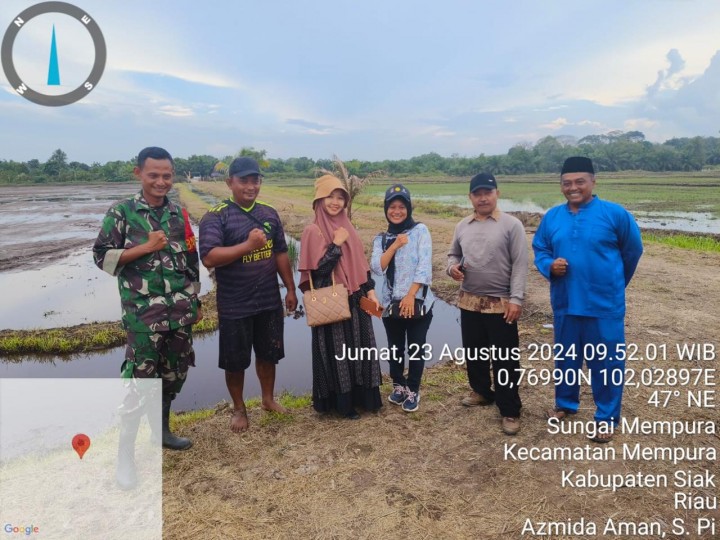 Babinsa Kodim 0322/Siak Bersama Kelompok Tani Famili Maju Lanjutkan Penanaman Padi Gogo di Sungai Mempura