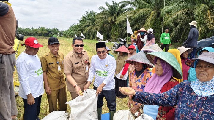 Dukung Program Ketahanan Pangan, BAZNAS Kabupaten Siak Panen Raya