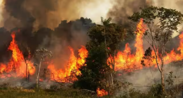 Studi: Cuaca Ekstrem Berdampak pada 70 Persen Manusia dalam 20 Tahun ke Depan