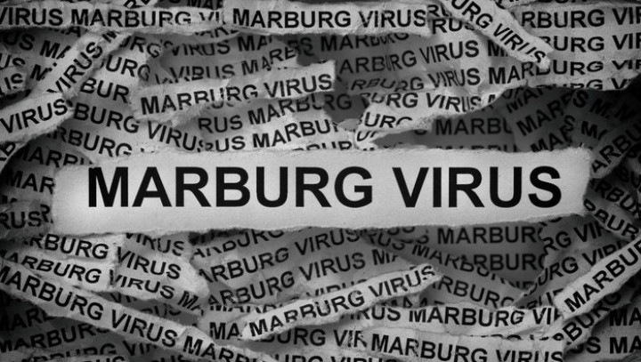 6 Orang Meninggal di Rwanda Akibat Virus Marburg