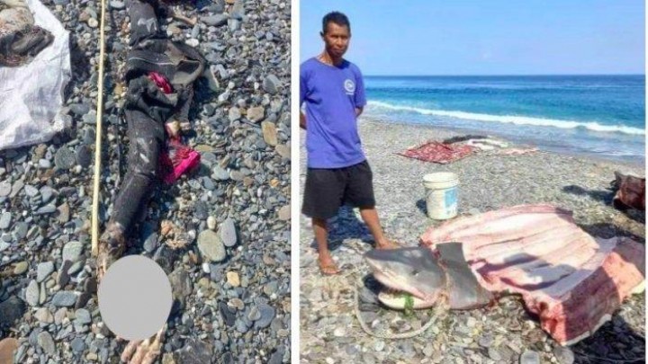 Kronologi Jasad Turis AS Ditemukan di Perut Hiu usai Hilang saat Menyelam di Maluku. (Tangkapan Laya Tribun Ambon)