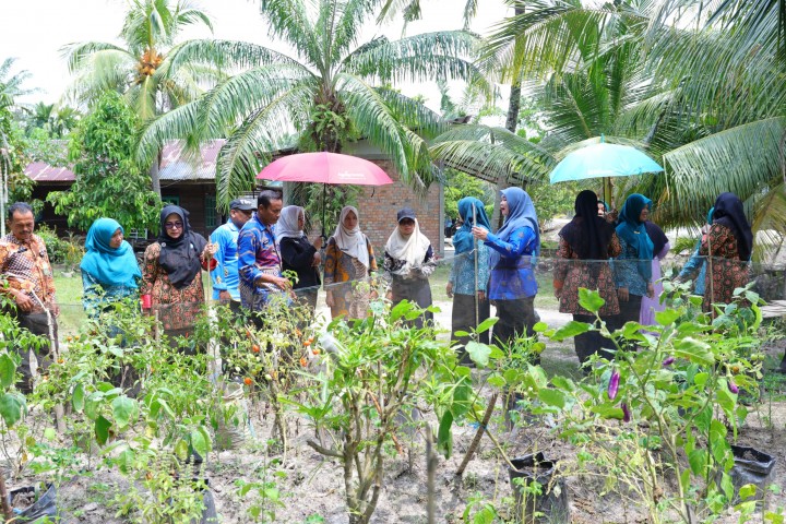 Lomba 'Aku Hatinya PKK', Dorong Pemanfaatan Pekarangan untuk Ketahanan Pangan.