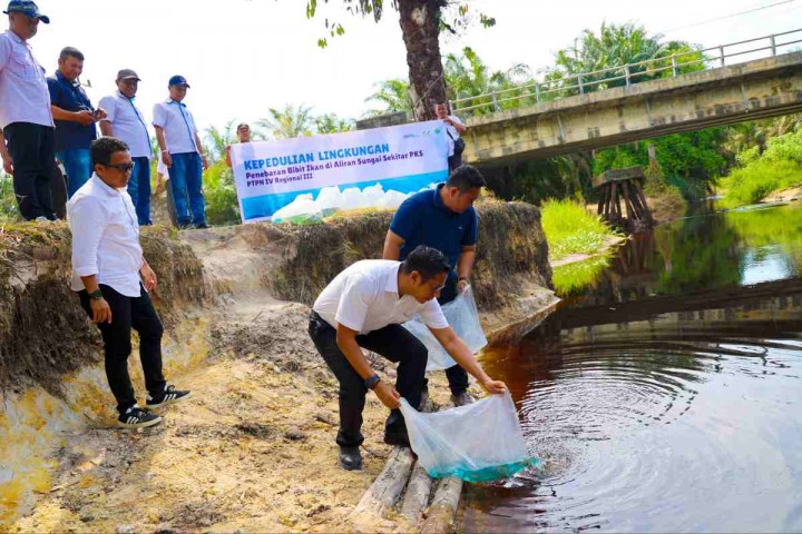 PTPN IV Regional III Tebar 60.000 Bibit Ikan Endemi Sungai Riau