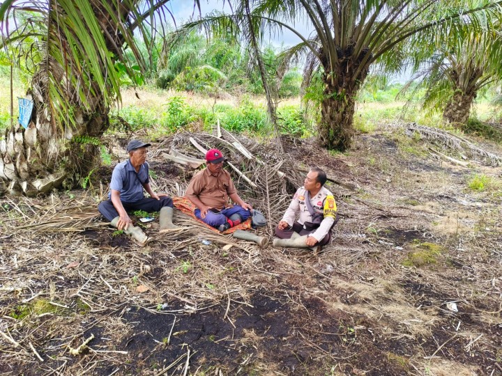 Merawat Kebun Polsek Mandau Sejukan Hati Masyarakat Desa Pamesi Wujudkan Pilkada Damai 2024