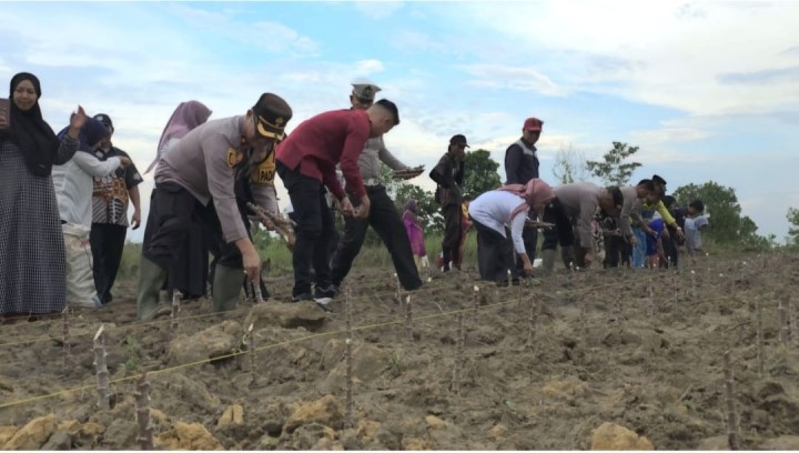 Kapolsek Pinggir Turun langsung Dalam Giat Ketahanan Pangan Program Asta Cita