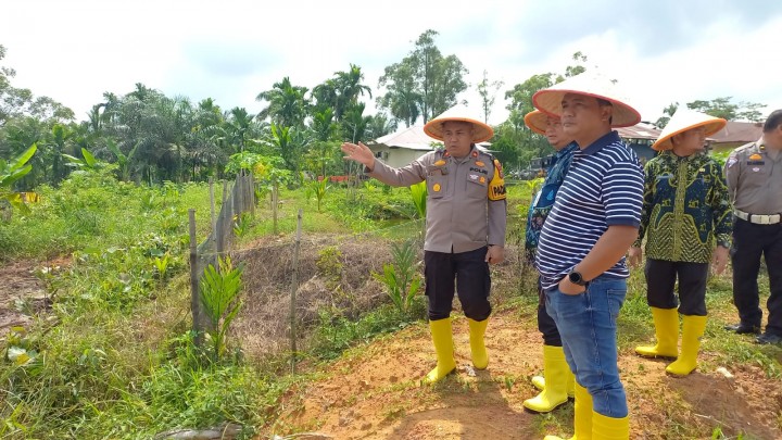 Polsek Mandau dan Camat Mandau Cek Areal Pemanfaatan Lahan Produktif Ketahanan Pangan