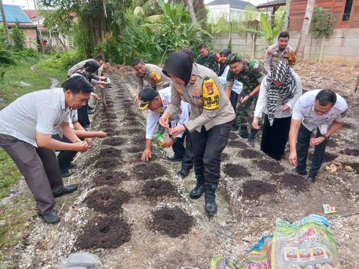 Dukung Ketahanan Pangan, Polsek Senapelan Tanam Bibit Terong Dan Timun Bersama Forkopimcam Dan Warga