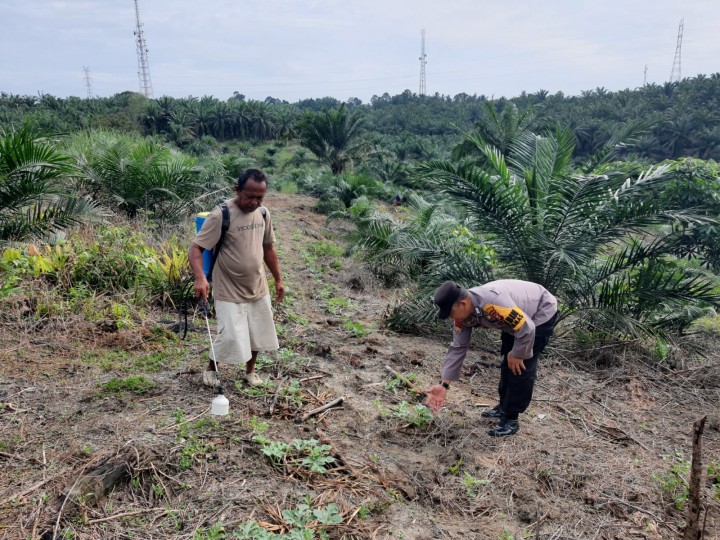 Polsek Pinggir Dukung Ketahanan Pangan dan Sampaikan Kamtibmas