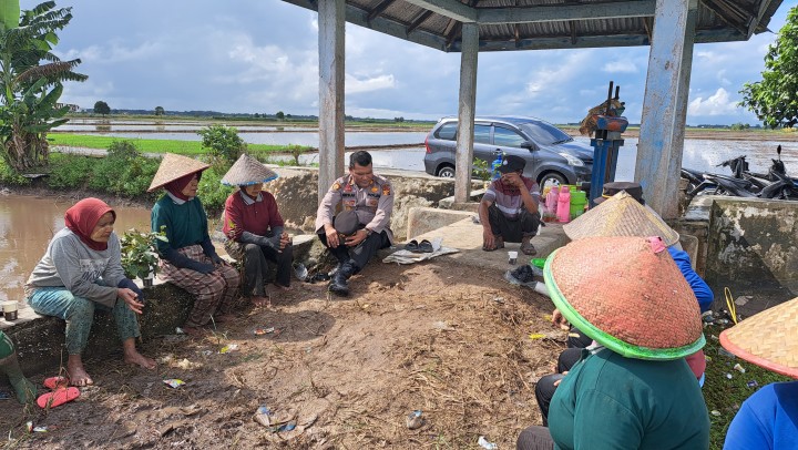 Cooling System Pasca  Pemungutan Suara Pilkada di Kampung Bungaraya, Polsek Bungaraya Ciptakan Situasi Damai