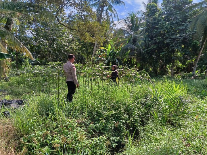 Pengecekan Lokasi Pekarangan Pangan dan Sampaikan Cooling System