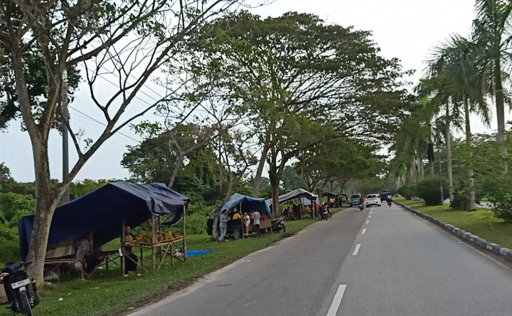 Nikmati Sensasi  Wisata Durian di Kampung Agam Siak