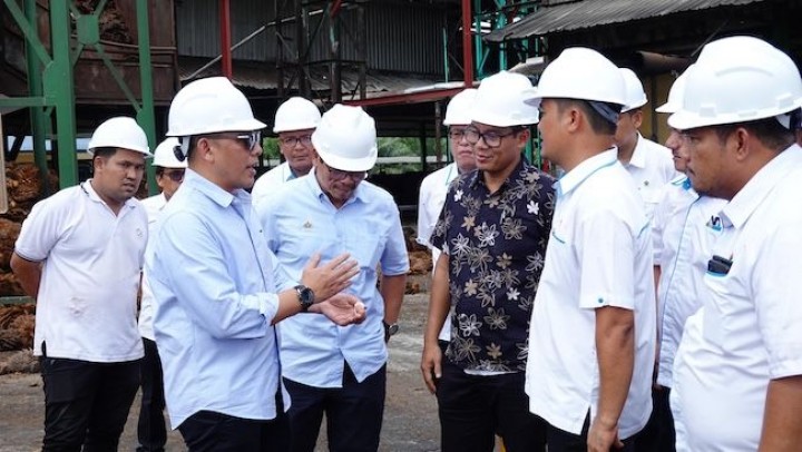 PTPN IV PalmCo Target Pasarkan 120.000 MT CPO Bersertifikasi, Proyeksi Raup USD3,6 Juta