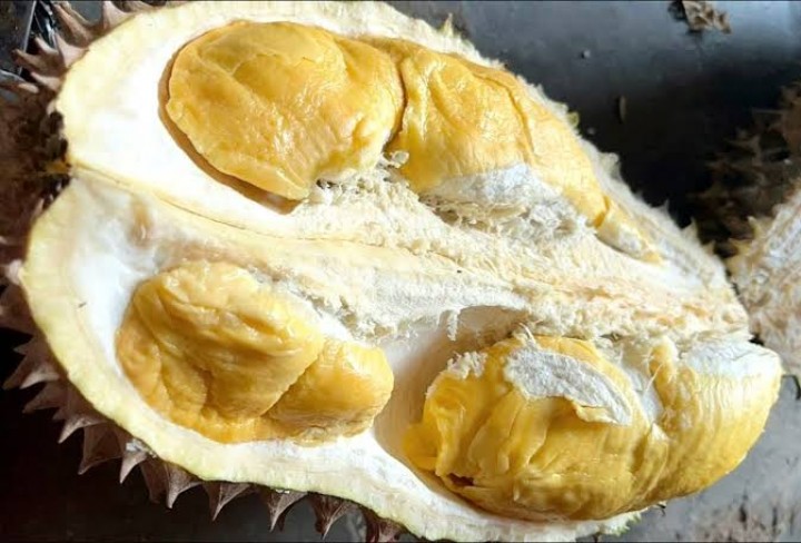 Lagi Musim, Ini Deretan Makanan dan Minuman yang Tidak Boleh Dimakan Bersama Durian