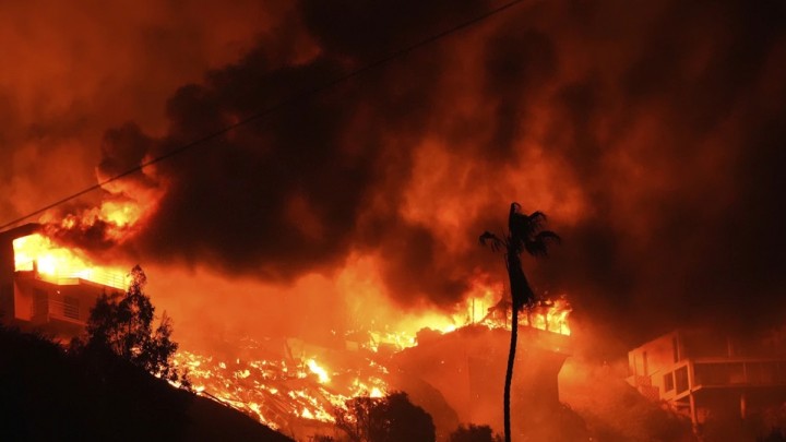 Fakta Dibalik Kebakaran Hutan di Los Angeles, Ratusan.