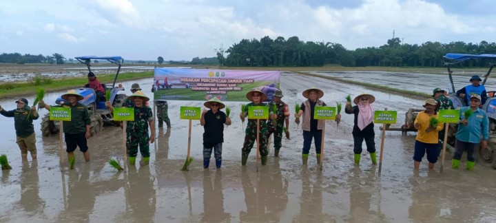 Kasdim 0322/Siak Bersama Satgas dan Pemda Dorong Gerakan Percepatan Tanam Padi di Bungaraya