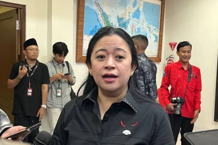 Ketua DPP PDI Perjuangan, Puan Maharani. Sumber: Antara