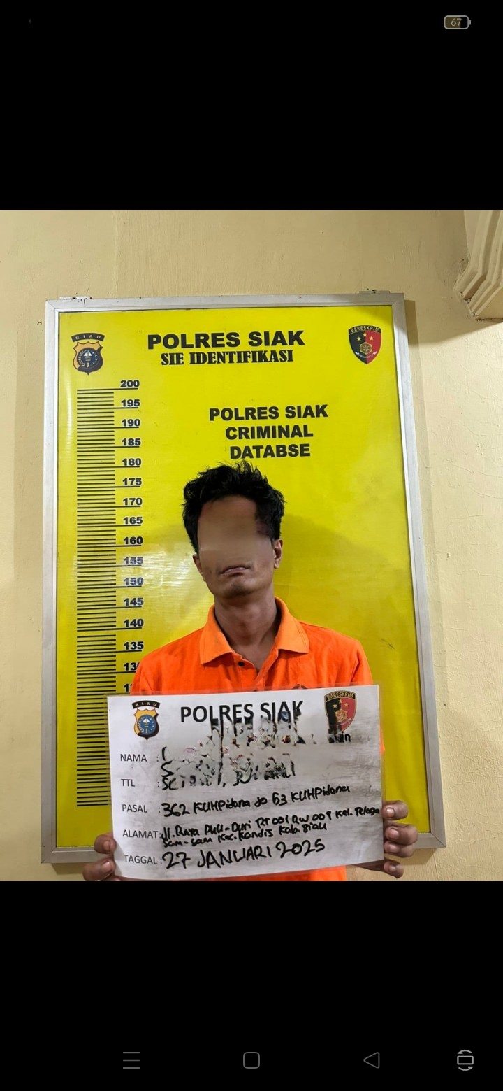 Kurang dari 1 x 24 Jam Polsek Kandis Berhasil Ungkap Pelaku Pencurian Kabel Optik milik PT. Elnusa