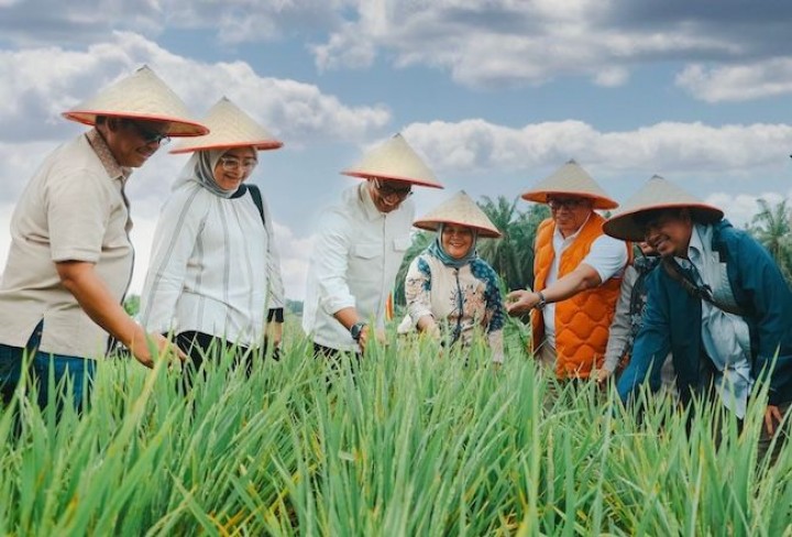 Kemenko Pangan Proyeksi Padi di Areal PSR PTPN IV Regional III Hasilkan 50 Ton Gabah