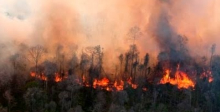 Panas Terik dan Angin Kencang, Tiga Kecamatan Diwilayah Kabupaten Bengkalis Terbakar