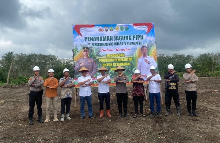 Sukses Padi Gogo, PTPN IV Regional III Bersama Polri Perkuat Ketahanan Pangan Melalui Budidaya Jagung