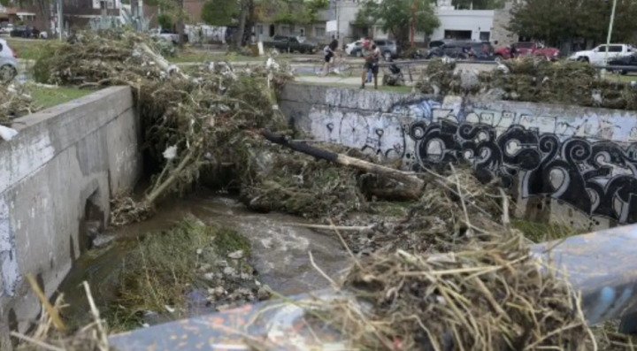 Sebuah pohon tumbang digambarkan di sungai Maldonado sehari setelah badai besar di Bahia Blanca, 600 km selatan Buenos Aires pada 8 Maret /AFP